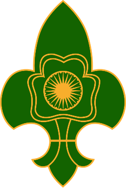 BSG India Logo